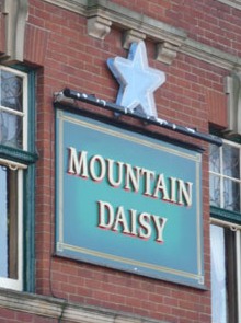 Sunderland - Millfield, Mountain Daisy