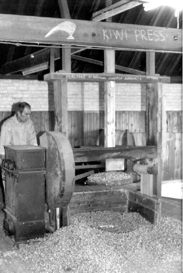 The only full-time employee for hops operates the hop press which is slung below the floor, a pocket held by a broad strap. The circular ram pushes the hops down, if overdone the sack will split.