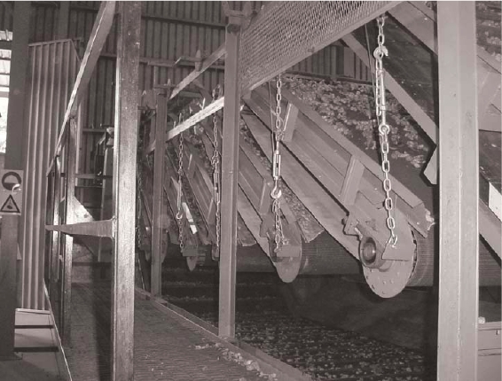 Figure 3. Separation of hop cones from leaves within a hop picking
machine, using a series of inclined belts. (Magadan, Spain)