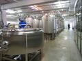 Lauter tun and processing area behind