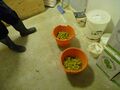 Hops weighrd out ready for late additions