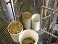 Hops weighed out ready to add to the copper