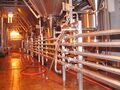 Permanent piping below the lager vessels, there are three 120hL FVs, six conditioning tanks and two BBTs