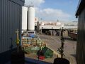 …with a view of the mighty Tennents Wellpark Brewery behind