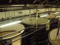 There are just over 100 fermenters, all but 30 are open