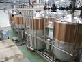 Four vessel 60 brl brewplant by Bavarian Brewing Technologies. Made in Hungary; mash tun on the far left, lauter, copper and whirlpool.