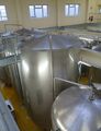 Two 100 brl 'German' fermenters for cool fermentations with external coils at 40 and 80 brl levels