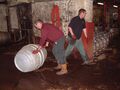 Moving hogsheads in the ale stores