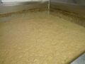 Yeast head ready for cropping