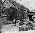 The thatched brewery in the 1890s