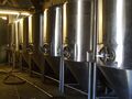 Eight 33hL conical fermenters