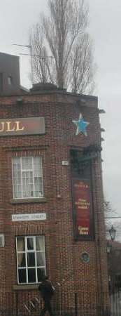 Newcastle Black Bull
