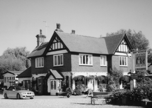 The Dog & Duck, Pluck's Gutter