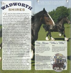 File:WadworthShires2007a.jpg