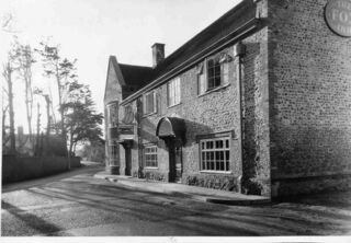 File:Felpham Fox.jpg