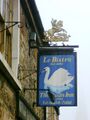 Swan, Olney
