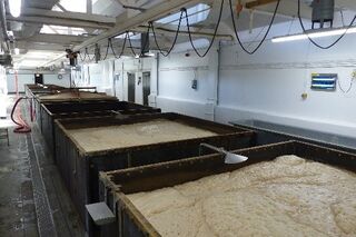 File:SamSmith2024d Squares MConnors.jpg