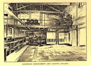 File:Segar Liverpool 1.jpg