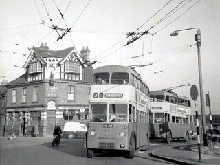 File:WolverhamptonElephant Express&Star2a.jpg